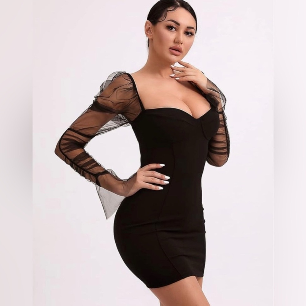 BLACK MESH SLEEVE DRESS